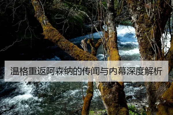温格重返阿森纳的传闻与内幕深度解析